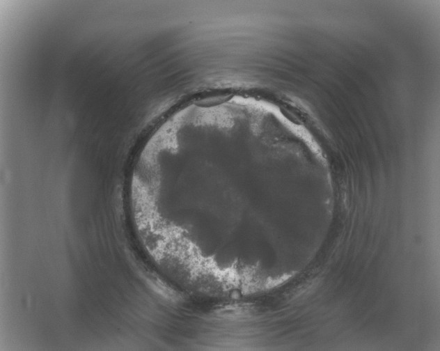 X0000066930447200604142002