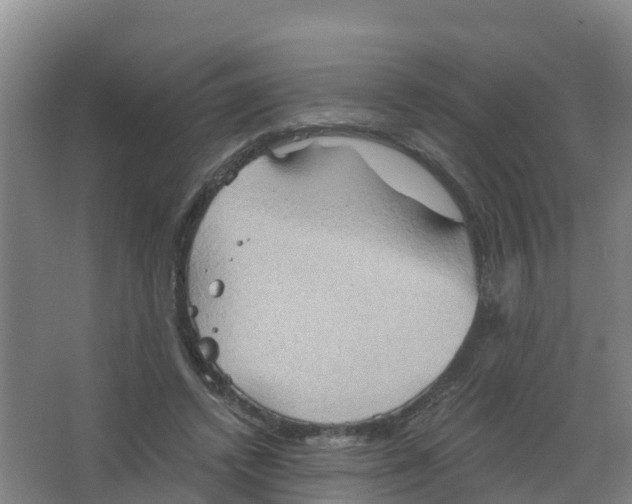 X0000066930448200604142002