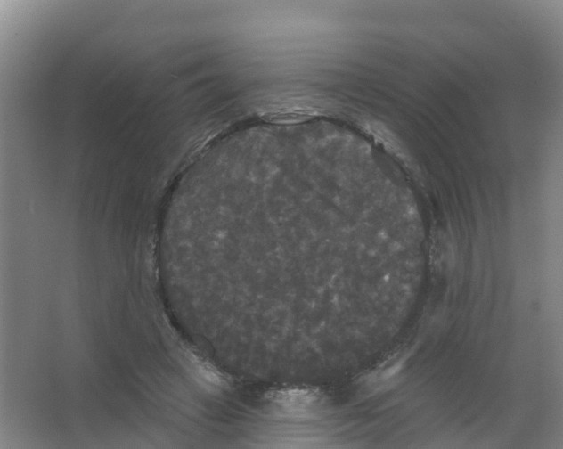 X0000066930449200604142002