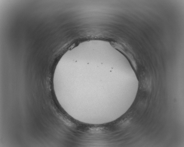 X0000066930450200604142002