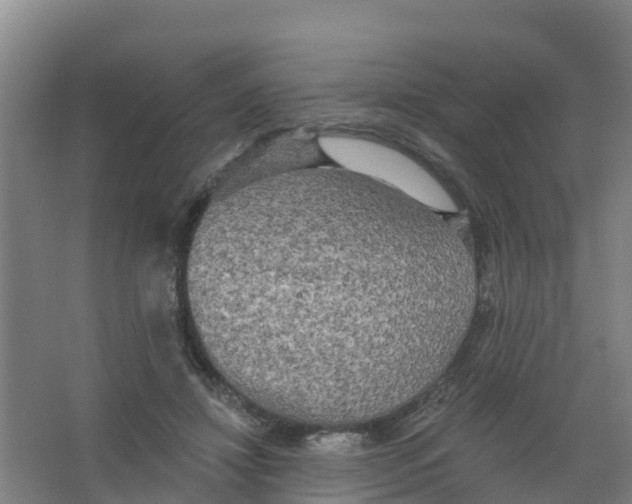 X0000066930452200604142002