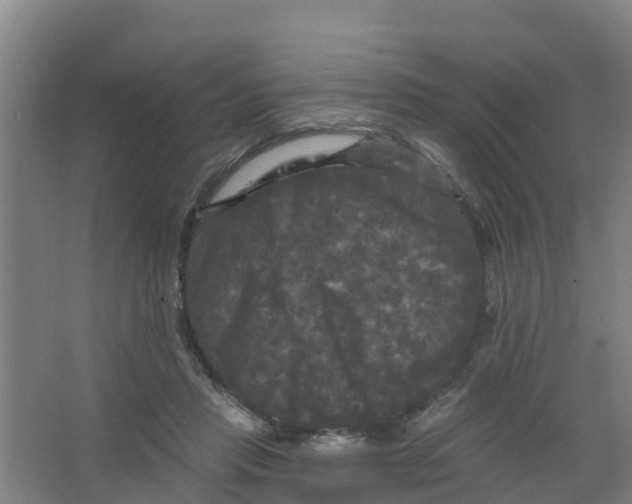 X0000066930453200604142002