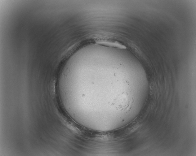 X0000066930454200604142002