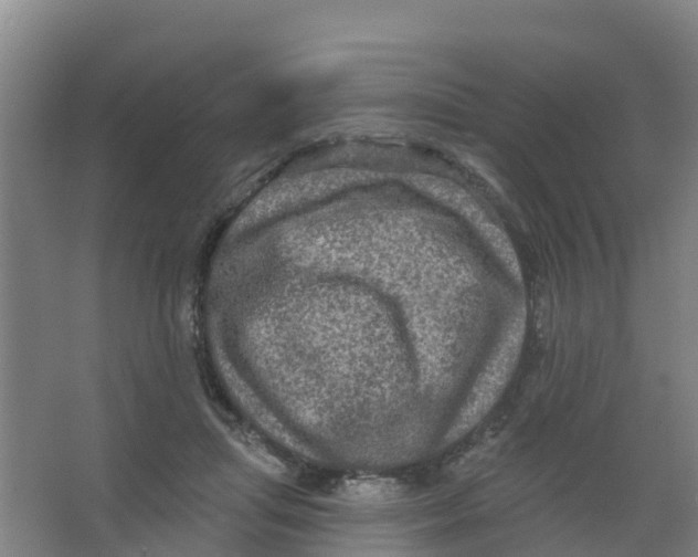 X0000066930455200604142002