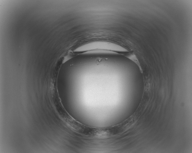 X0000066930456200604142002