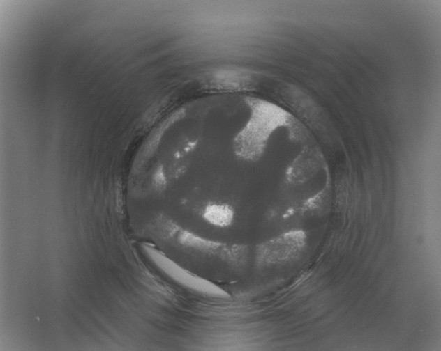 X0000066930457200604142002