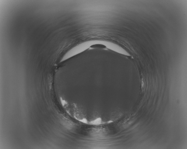 X0000066930458200604142002