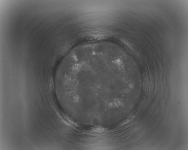 X0000066930459200604142002