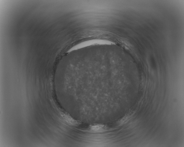 X0000066930461200604142002