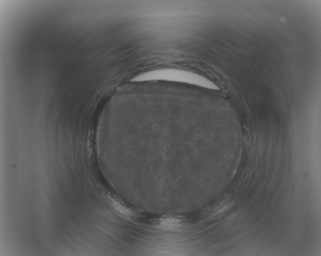 X0000066930462200604142002