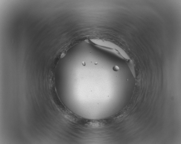 X0000066930464200604142002