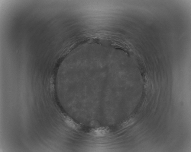 X0000066930466200604142002