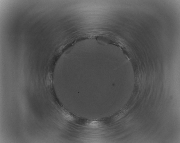 X0000066930467200604142002