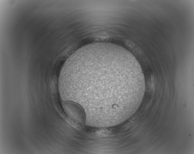 X0000066930468200604142002