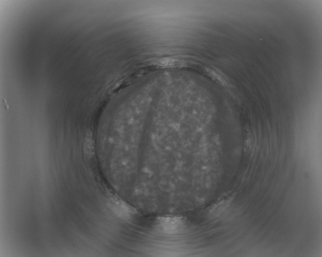 X0000066930469200604142002