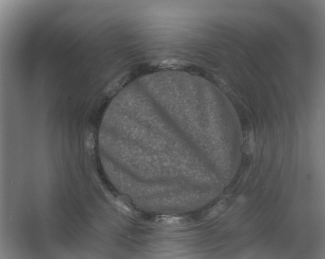 X0000066930472200604142002