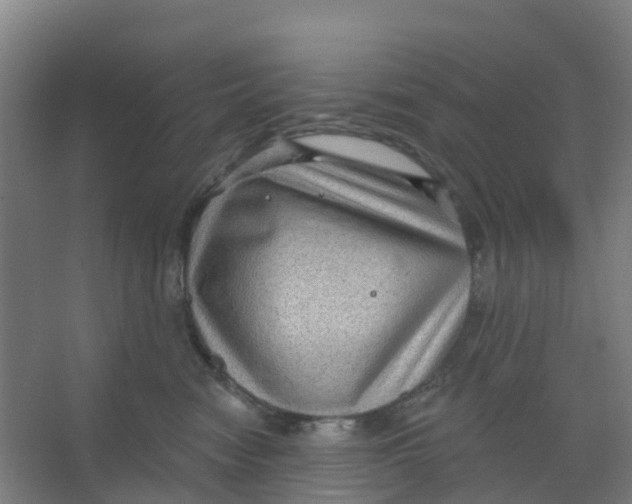 X0000066930474200604142002