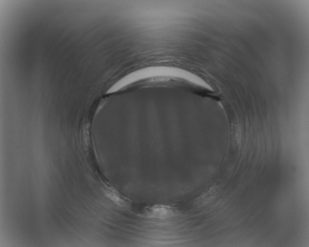 X0000066930475200604142002