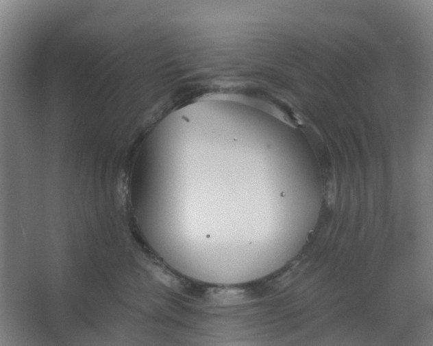 X0000066930476200604142002