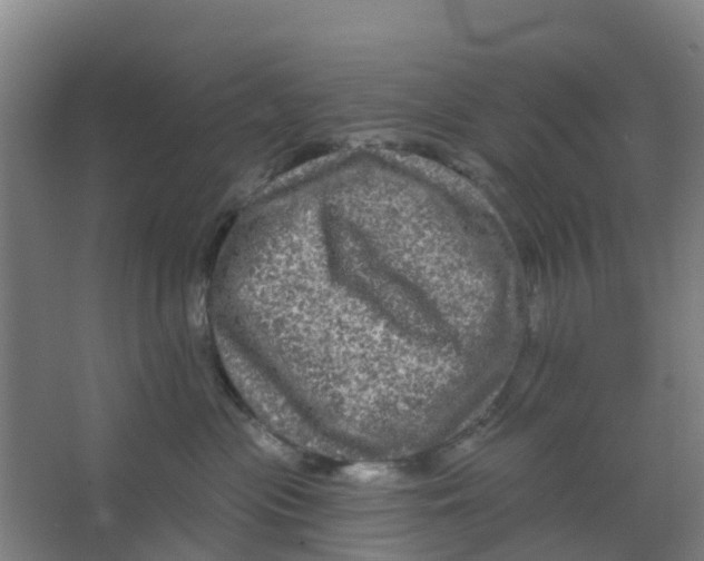 X0000066930477200604142002