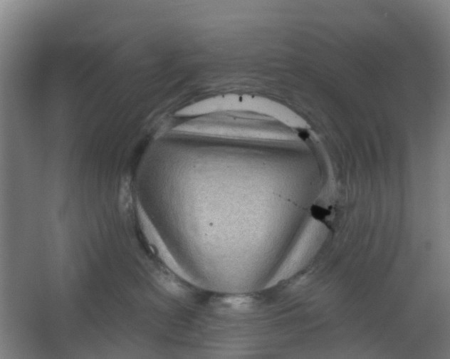 X0000066930478200604142002