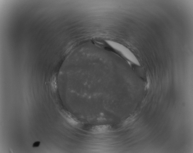 X0000066930479200604142002