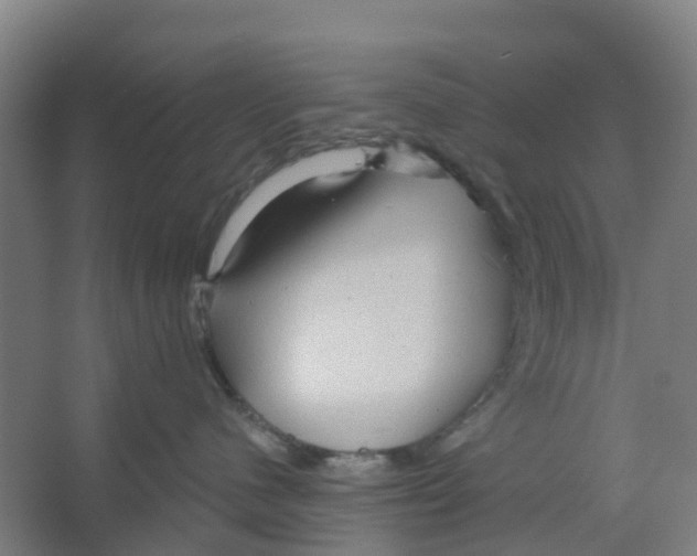 X0000066930480200604142002