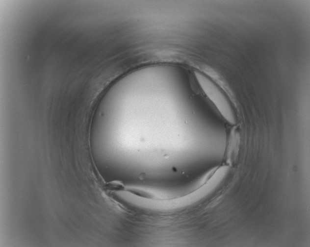 X0000066930481200604142002