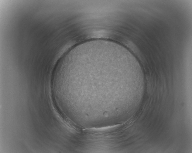 X0000066930482200604142002