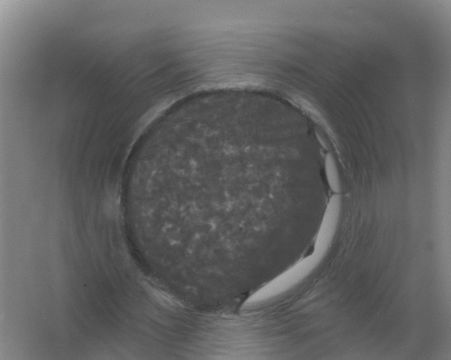 X0000066930483200604142002