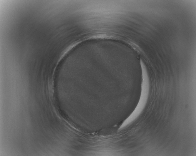 X0000066930484200604142002