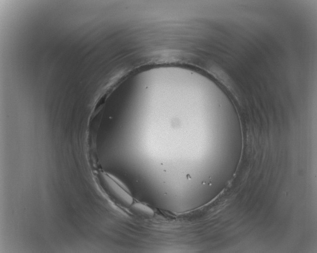 X0000066930485200604142002