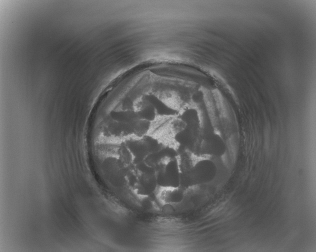 X0000066930487200604142001