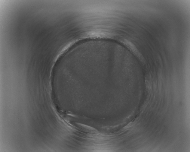 X0000066930488200604142001