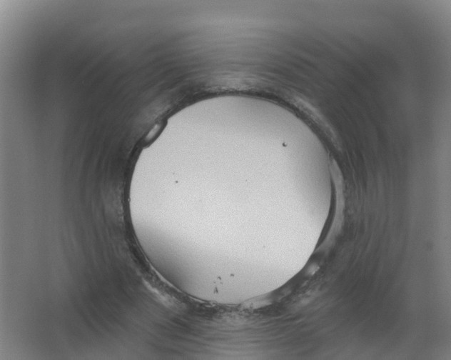 X0000066930489200604142001