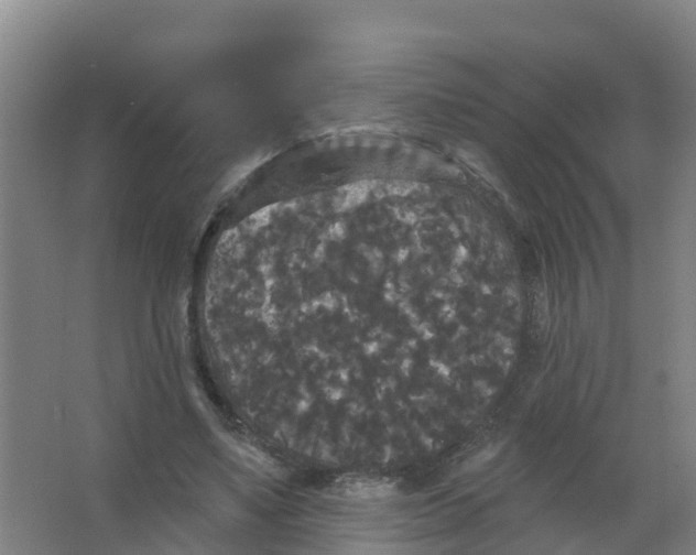 X0000066930491200604142001