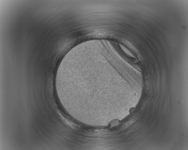 X0000066930493200604142001