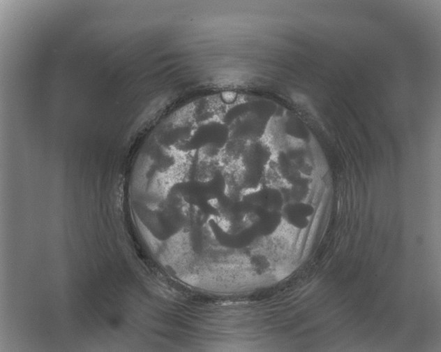 X0000066930495200604142001