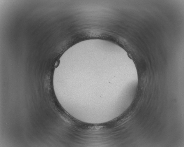 X0000066930497200604142001