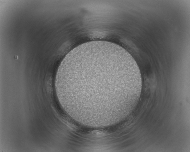 X0000066930498200604142001