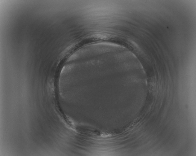 X0000066930500200604142001