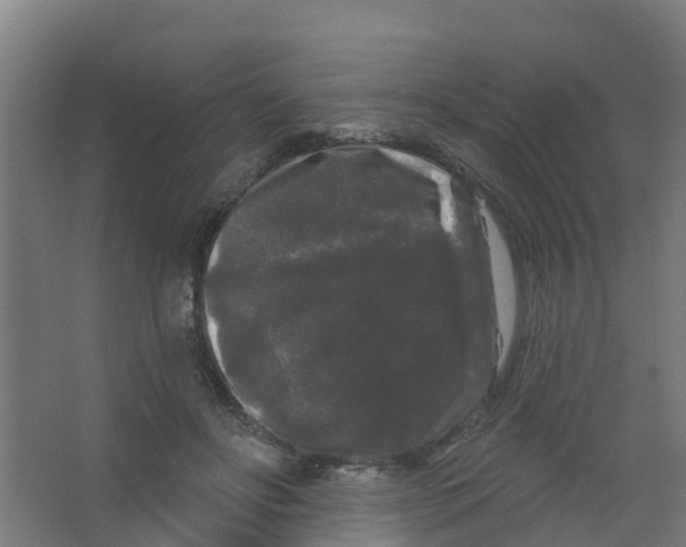 X0000066930502200604142001