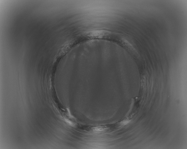 X0000066930504200604142001