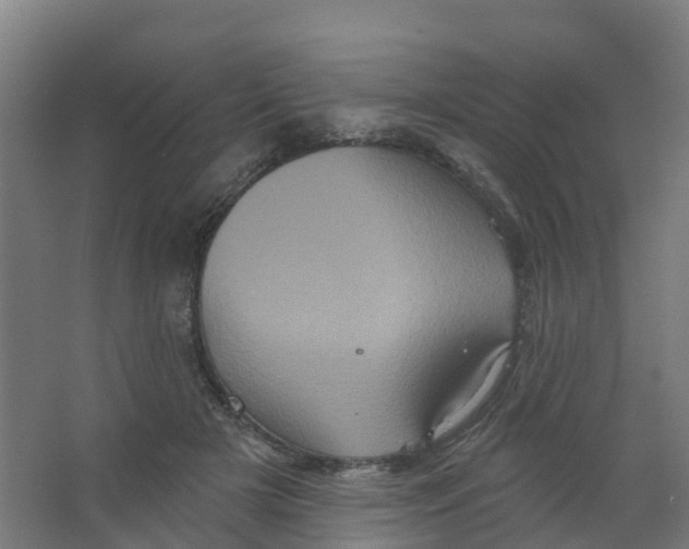 X0000066930505200604142001