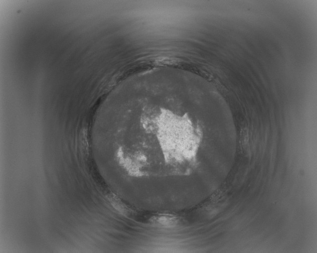 X0000066930506200604142001