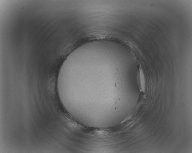 X0000066930509200604142001