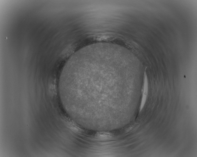 X0000066930510200604142001