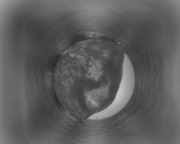 X0000066930511200604142001