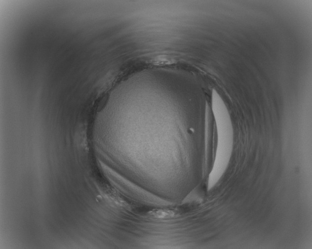 X0000066930512200604142001
