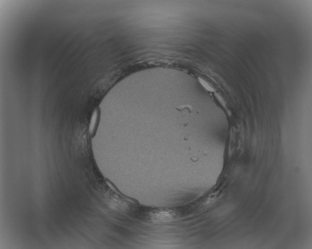 X0000066930513200604142001